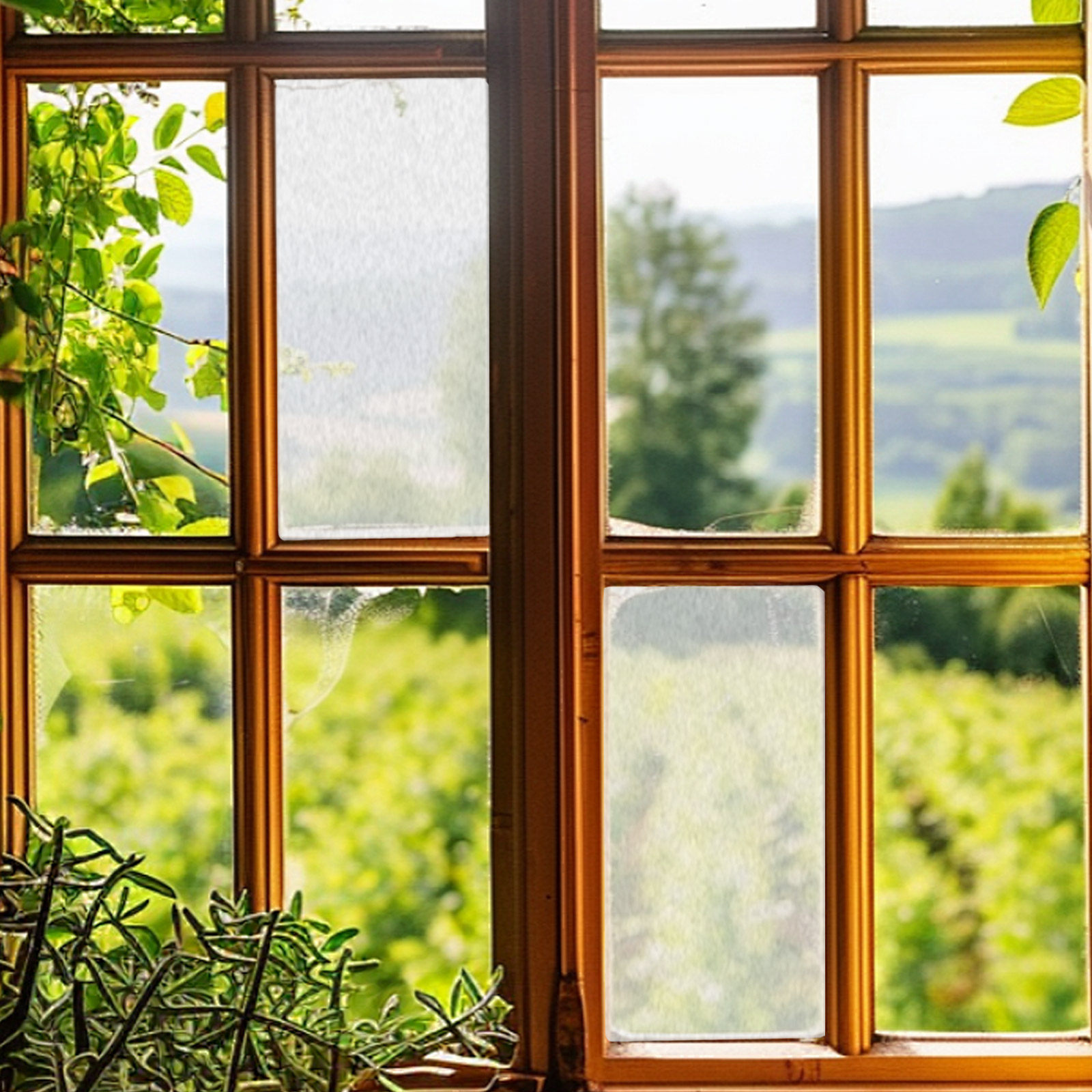 1 ロールすりガラスプライバシーウィンドウフィルム静電気でく - Home Bathroom Window Tint のレビューと価格